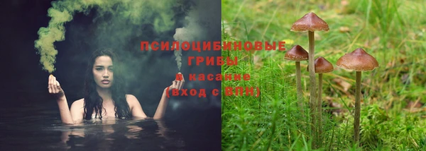 ECSTASY Медвежьегорск