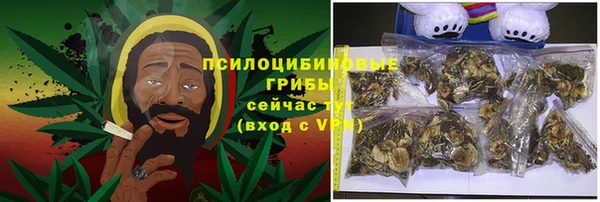 2c-b Алзамай