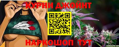 PSILOCYBIN Азнакаево