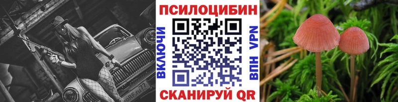 Псилоцибиновые грибы Magic Shrooms  Анжеро-Судженск 
