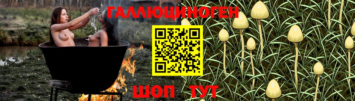 Псилоцибиновые грибы Magic Shrooms Анжеро-Судженск